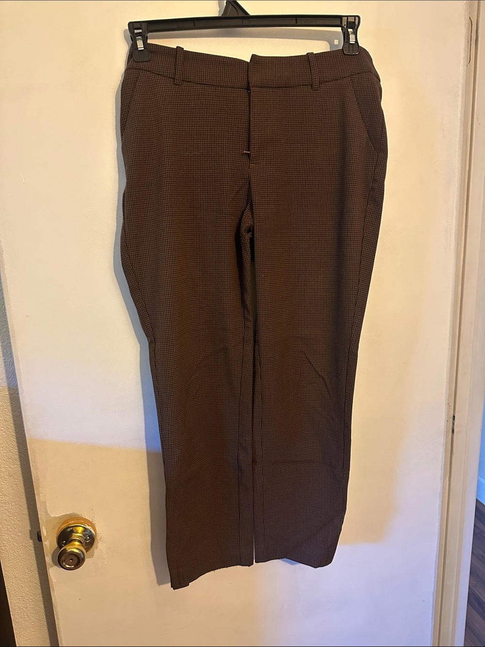 Brown and black Dress Pants - Classic Straight l, Cropped